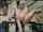 anal teen blonde