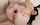 What's the name of this porn actor?