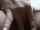 kink point of view giantess