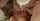 What's the name of this porn actor?