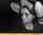 Where can I find this video?