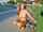 Name or video?
