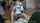 clips4sale