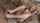 What's the name of this porn actor?