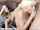 Girl Name 1:59 - 2:07