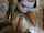 brunette teen blowjob