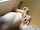 masturbate busty blonde