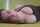 What's the name of this porn actor?