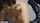 What's the name of this porn actor?