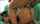 What's the name of this porn actor?