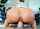 bangbros milf