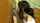 webcam amateur japan