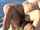 pornstar vaginal sex big cock