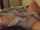 What's the name of this porn actor?
