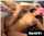 name that porn