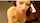 What's the name of this porn actor?