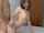 What's the name of this porn actor?