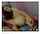 What's the name of this porn actor?