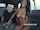 bangbus black blowjob