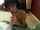 teen couple amateur