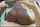 tease interracial