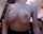 What's the name of this porn actor?
