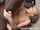 Who is this girl? or where can I find the vid?
