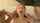 What's the name of this porn actor?