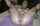 What's the name of this porn actor?