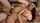 What's the name of this porn actor?