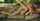 What's the name of this porn actor?