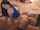 myfreecams clips4sale