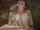 What's the name of this porn actor?