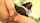 What's the name of this porn actor?