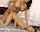 teamskeet desi cute