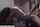 What's the name of this porn actor?