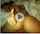 Name or link, please