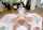 Cece Capella full video