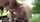 czech amateur blowjob
