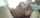 What's the name of this porn actor?