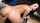 amateur anal mofos