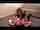 kink facesitting clips4sale