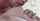 pornpros passionhd