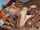 cuckold interracial amateur