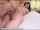 What's the name of this porn actor?
