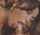 What's the name of this porn actor?