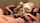 What's the name of this porn actor?