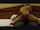 What's the name of this porn actor?