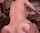 wife