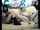 emo teens threesome